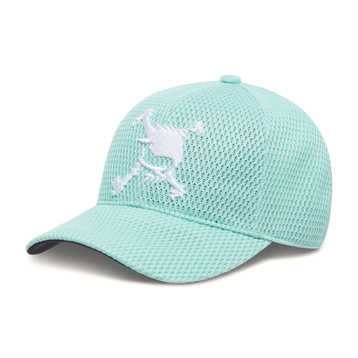 Oakley Men's Skull Mesh 26.0 Cap 76R Seafoam Green – Pacific Boarder